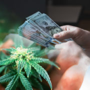 Looking For Long Term Investments In Pot Stocks? 3 Of The Best Marijuana ETFs Right Now