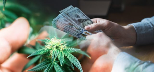 Looking For Long Term Investments In Pot Stocks? 3 Of The Best Marijuana ETFs Right Now