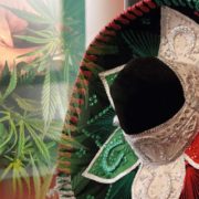 Mexican Politicians Are Working On Passing National Marijuana Legalization