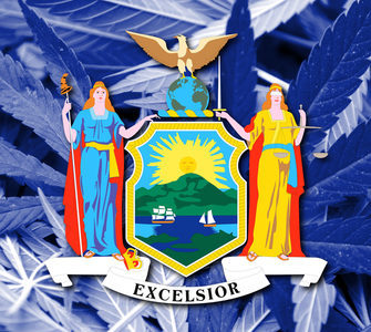 NY State cannabis board – in its first meeting – relaxes medical marijuana rules