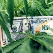 These 2 Marijuana Stocks Could Win Big if Germany Legalizes Pot