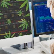 These Cannabis Stocks Could Be The Ones You Need To Watch This Month