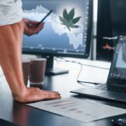 These Marijuana Stocks Have Investors Paying Close Attention Here’s Why
