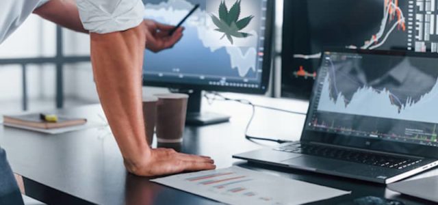 These Marijuana Stocks Have Investors Paying Close Attention Here’s Why