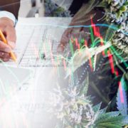 These May Be The Right Marijuana Stocks For Your Watchlist This Week