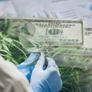 Top Canadian Cannabis Stocks To Buy Now? 2 LPs For Your Watchlist Today