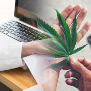 Top Cannabis Stocks For Short Term Investors? 2 Marijuana Penny Stocks For Your List Right Now