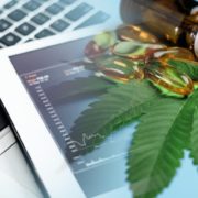Top Cannabis Stocks To Buy This Week? 3 US Pot Stocks To Watch In October