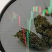 Top Marijuana Stocks To Invest In? 2 To Watch In November