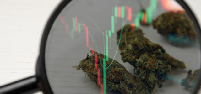 Top Marijuana Stocks To Invest In? 2 To Watch In November