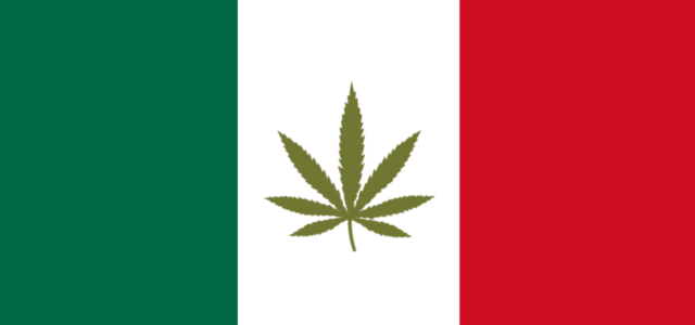 Top Misconceptions About Cannabis in Mexico, Part 3