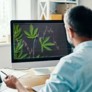 Top Pot Stocks To Buy In October? 2 Top Tier US MSOs For Your Watchlist Right Now
