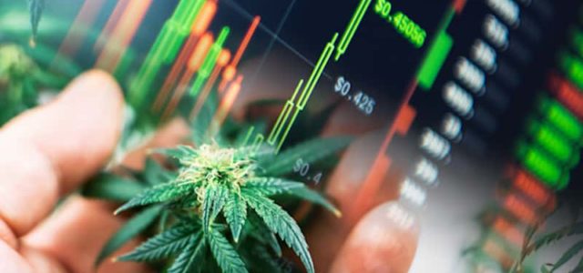What Are Marijuana Penny Stocks? 2 For Your Watchlist Right Now