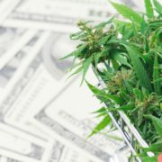 WM Technology Inc: Wall Street Is Bullish on This Newly Listed Pot Stock