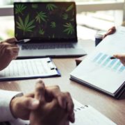 2 Marijuana Stocks For This Months Watchlist