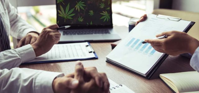 2 Marijuana Stocks For This Months Watchlist