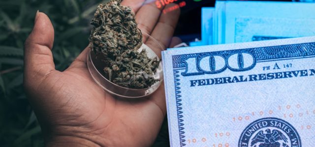 2 Marijuana Stocks To Watch As The Sector Builds More Momentum