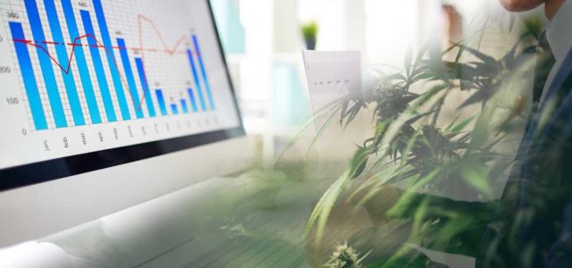 2 Marijuana Stocks To Watch As The Sector Continues To Rise