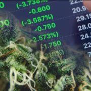 2 Marijuana Stocks To Watch As The Sector Starts To Recover