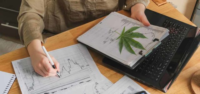 2 Marijuana Stocks To Watch Moving Into December 2021