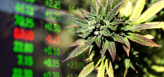 2 Marijuana Stocks To Watch Right Now In November