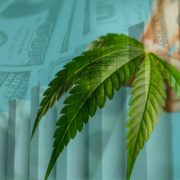 Best Ancillary Marijuana Stocks For 2021