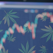Best Marijuana Stocks To Buy In November? 2 To Watch This Month