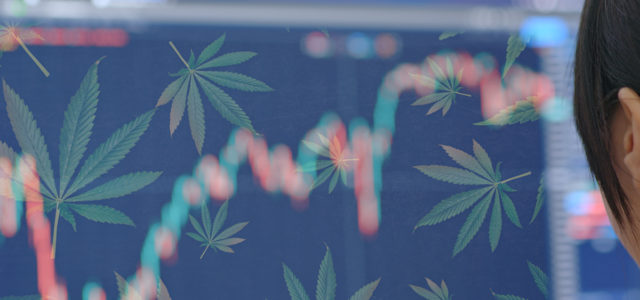 Best Marijuana Stocks To Buy In November? 2 To Watch This Month