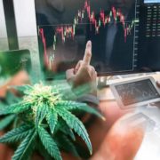 Best US Marijuana Stocks To Buy Before December? 2 For Your Watchlist Right Now