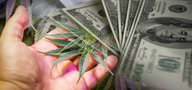 Best US Marijuana Stocks To Buy Right Now? 2 To Add To Your List According To Analysts