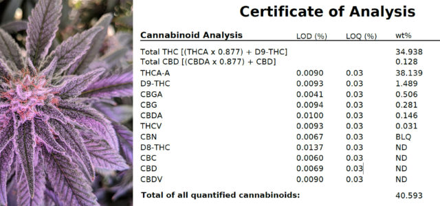 CannabCo Reveals 41% Odourless Cannabis™ Dry Flower Strain