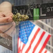 Cannabis Stocks To Watch Right Now? 4 Holding On To Gains This Month