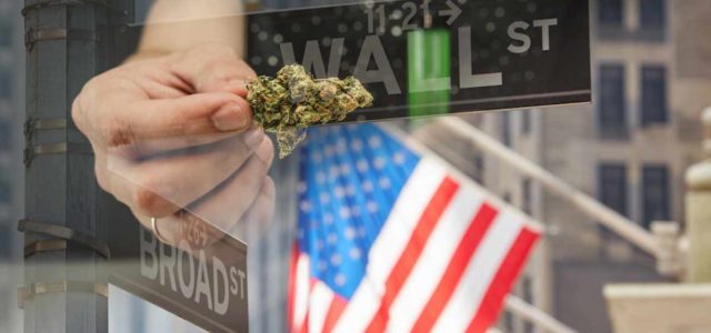 Cannabis Stocks To Watch Right Now? 4 Holding On To Gains This Month