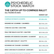 Compass Pathways Phase II Results: A Disappointment For Some, An Opportunity For Others