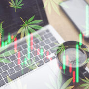 Going Long On Top Marijuana Stocks To Buy? 3 Of The Best Cannabis Stocks To Watch Right Now