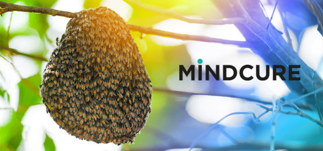 Industry Buzz Growing Rapidly Around MINDCURE’s iSTRYM