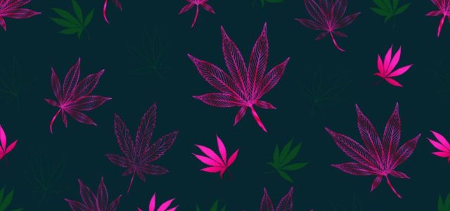 JPMorgan Just Highlighted Huge Advantage for Canadian Marijuana Stocks