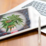 Making A List Of Top Cannabis Stocks Today? 2 To Watch Right Now As They Deliver Earnings