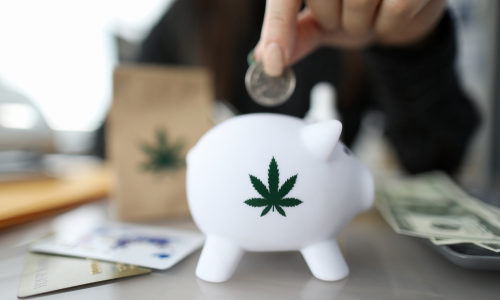 Marijuana industry has only a couple banking options in New Mexico
