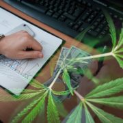 The Best Marijuana Stocks 2021? Find Our More In This Cannabis Article 