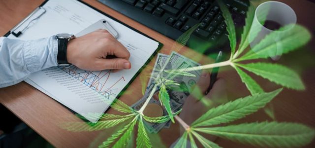 The Best Marijuana Stocks 2021? Find Our More In This Cannabis Article 