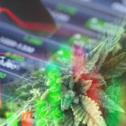 Top Canadian Marijuana Stocks In November 2021