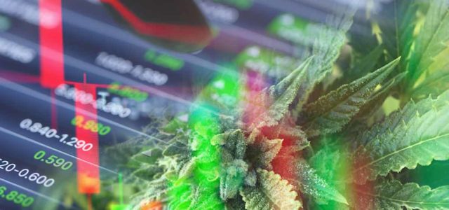 Top Canadian Marijuana Stocks In November 2021