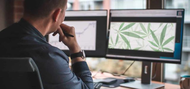 Top Cannabis Stocks To Buy Right Now? 2 US Pot Stocks For Your List In November