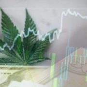 Top Marijuana Stocks for November 2021