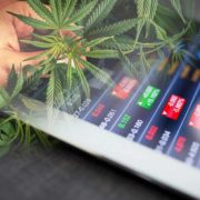 Top Marijuana Stocks To Buy In November? 2 Global Companies For List Right Now