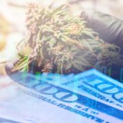 Top Marijuana Stocks To Buy Right Now? 2 Stocks You May Not Know About