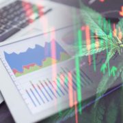 Top Marijuana Stocks To Buy Right Now? 2 US Pot Stocks With Analysts Forecasting Triple Digit Gains