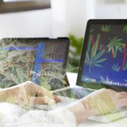Top Marijuana Stocks To Watch Right Now? 2 For Your List This Week