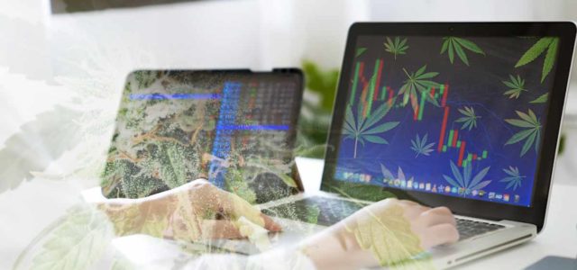 Top Marijuana Stocks To Watch Right Now? 2 For Your List This Week